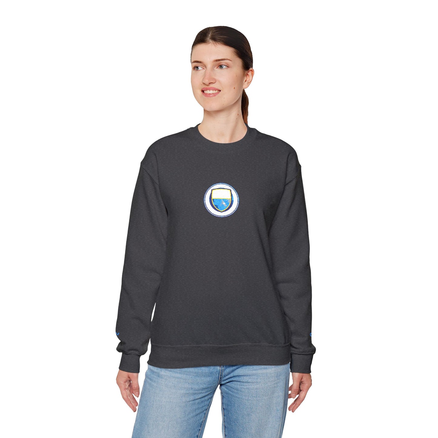Unisex sweater with embroidered design - Man City