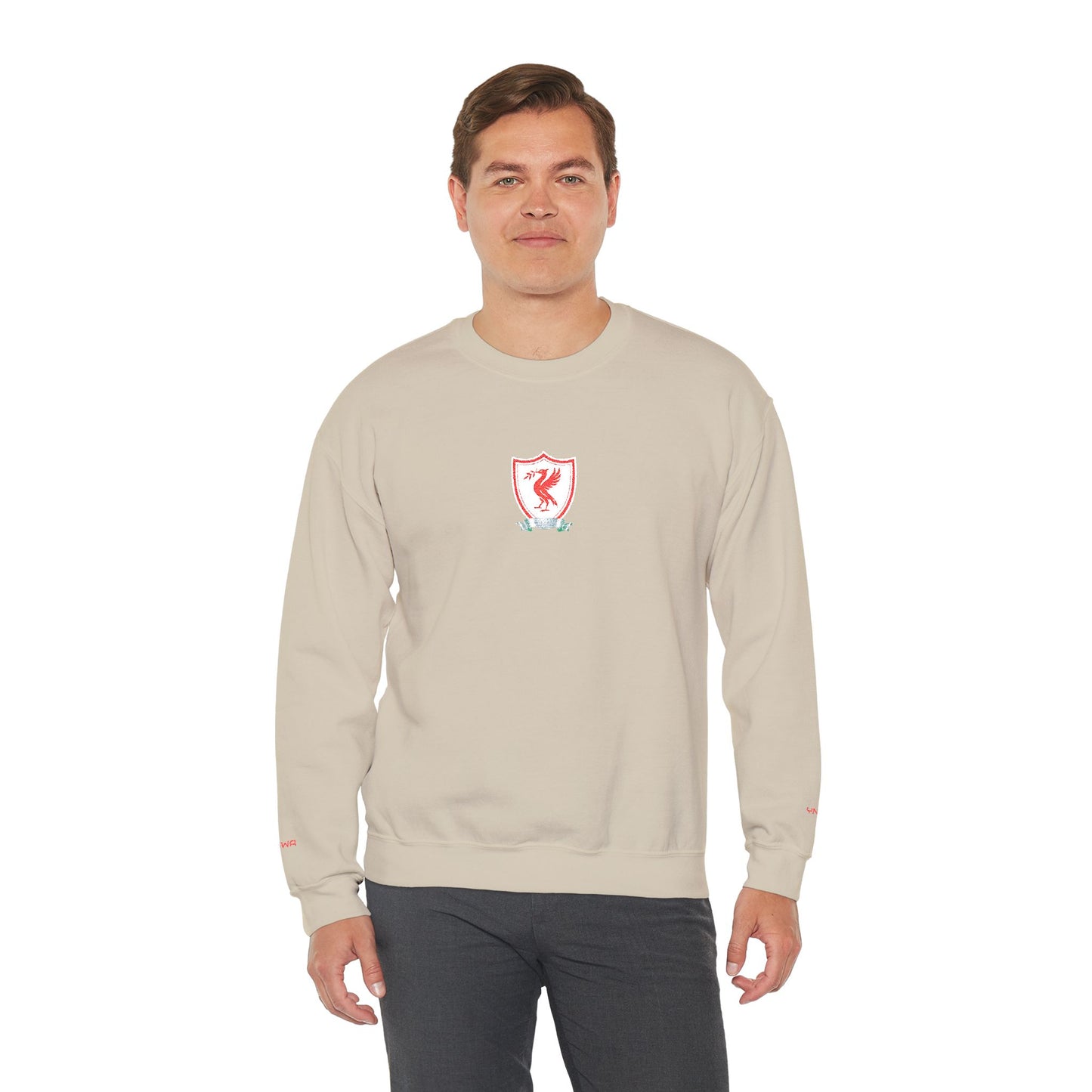 Unisex sweater with embroidered design - Liverpool