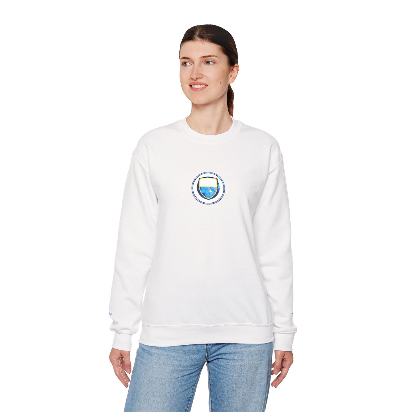 Unisex sweater with embroidered design - Man City