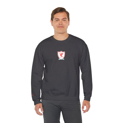 Unisex sweater with embroidered design - Liverpool