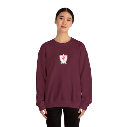 Unisex sweater with embroidered design - Liverpool