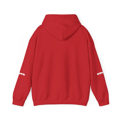 Hoodie Capuche Mixte - Arsenal